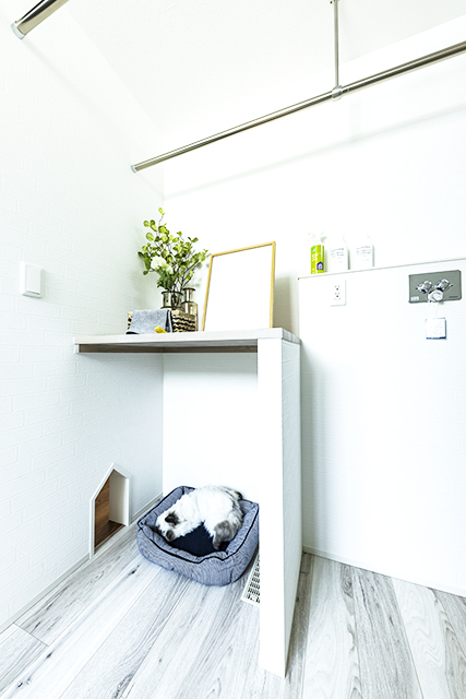 洗濯機置場 スペース 棚 ペットドア | モダン | HACO BASIC | インゾーネの家