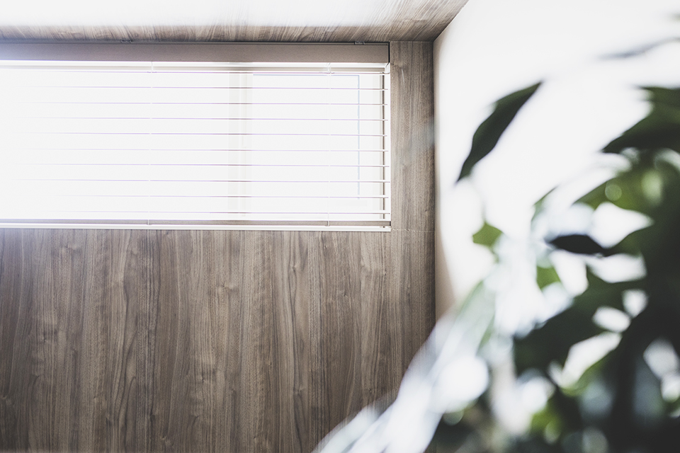 2階 観葉植物 窓 | ホテルライク | HACO FREE | インゾーネの家