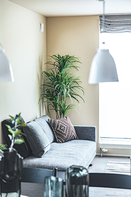 ソファ リビング 観葉植物 照明 | ホテルライク | HACO SPECIAL | インゾーネの家
