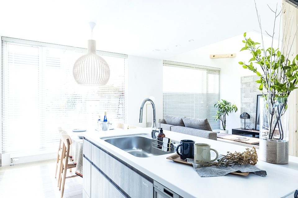 キッチン シンク 植物 照明 | シンプル | HACO STYLE | インゾーネの家