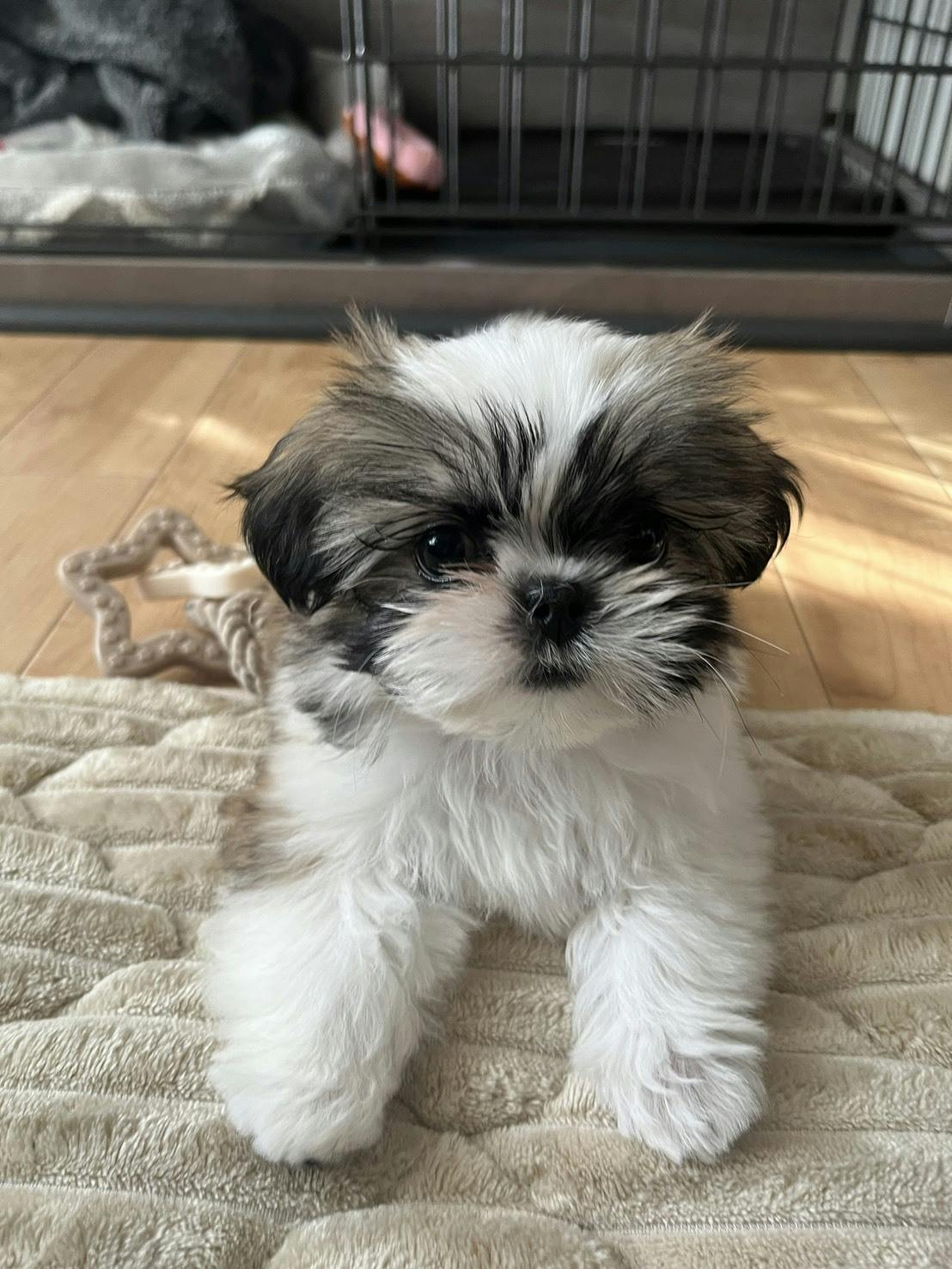 HAKOZAKIのプライベート写真